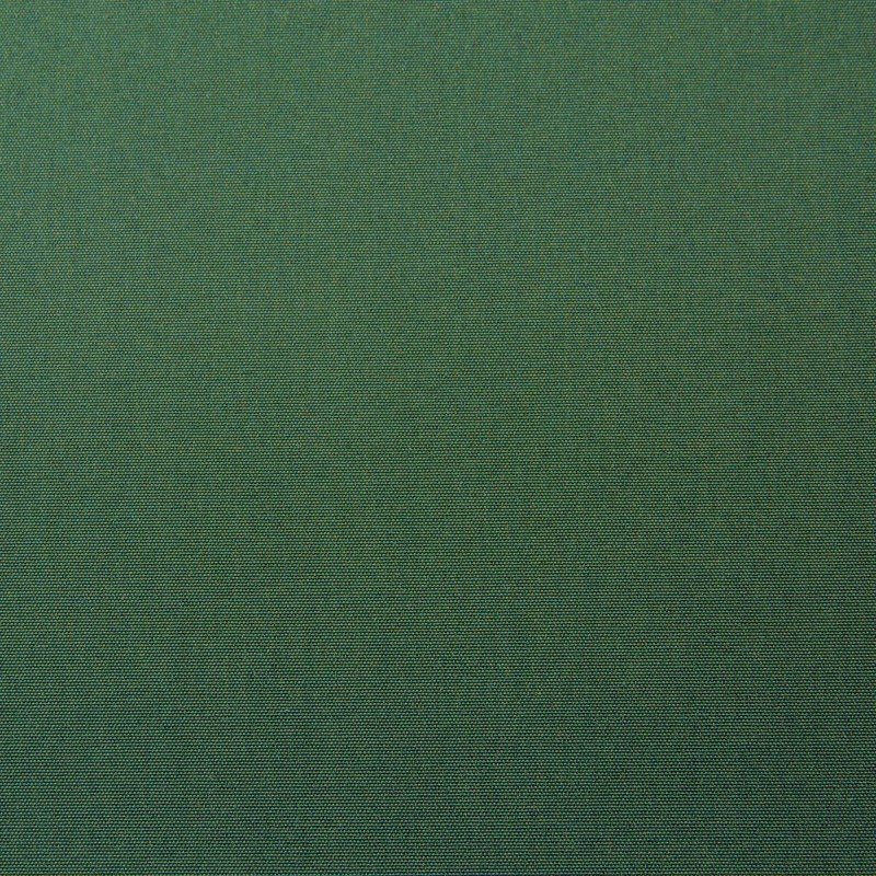 Przyciemniający PA 818x Ciemny zielony