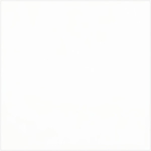 Biały 900, RAL 9010