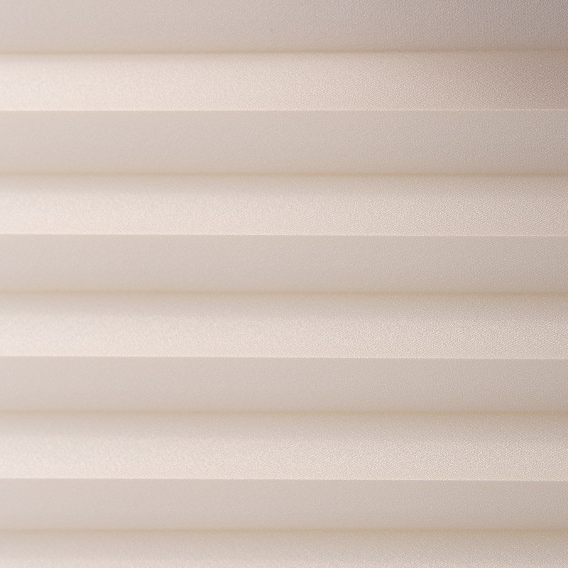 Lekko przyciemniająca P 119